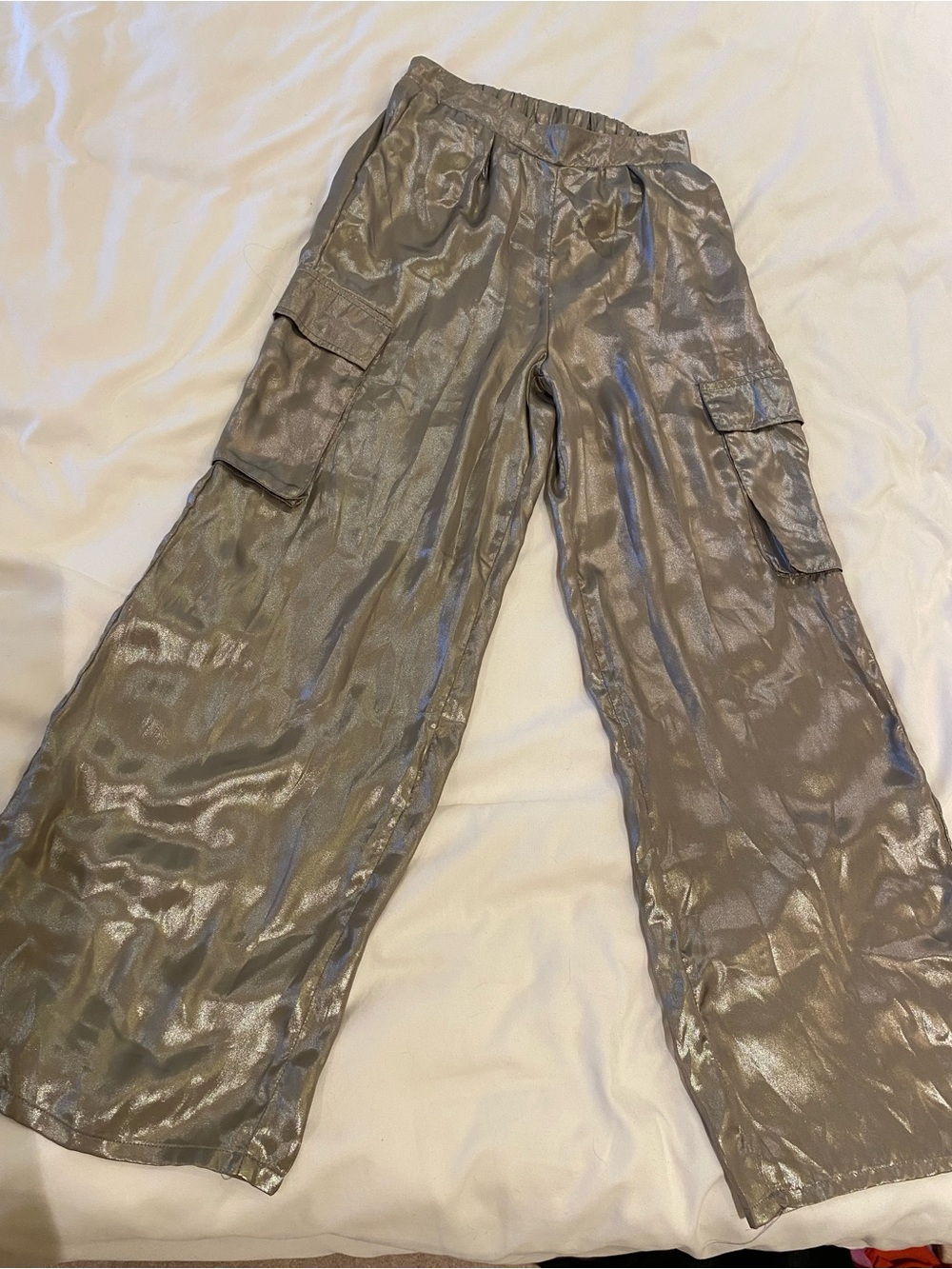 Dizzy Metallic Gray Wide-Leg Cargo Pants